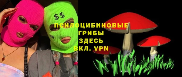 дмт Няндома