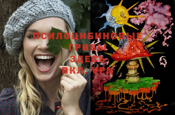 ГАЛЛЮЦИНОГЕННЫЕ ГРИБЫ Белая Калитва