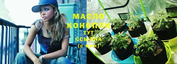 дмт Няндома