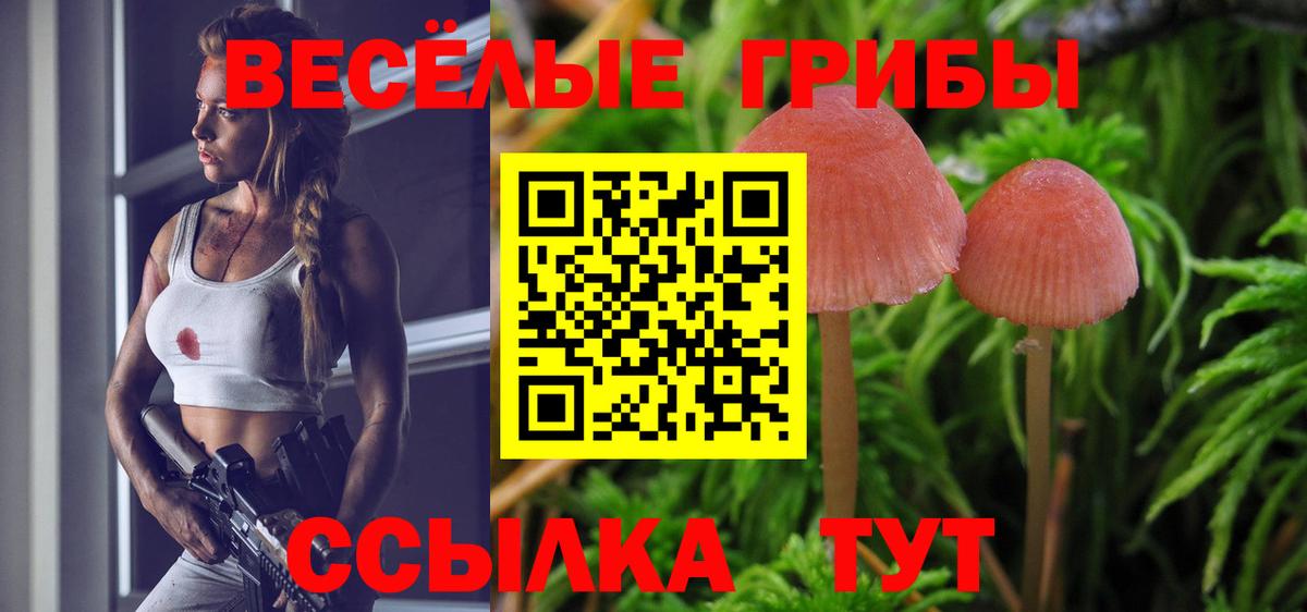 Красноперекопск  Псилоцибиновые грибы Psilocybe  Галлюциногенные грибы MAGIC MUSHROOMS  Вход с VPN 