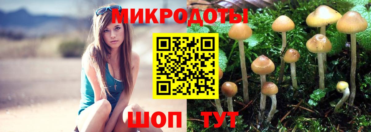 Галлюциногенные грибы GOLDEN TEACHER  Красноперекопск 