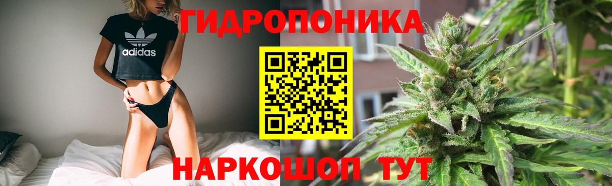 Шишки марихуана Bruce Banner  Марихуана тримм  МАРИХУАНА OG Kush  Красноперекопск 