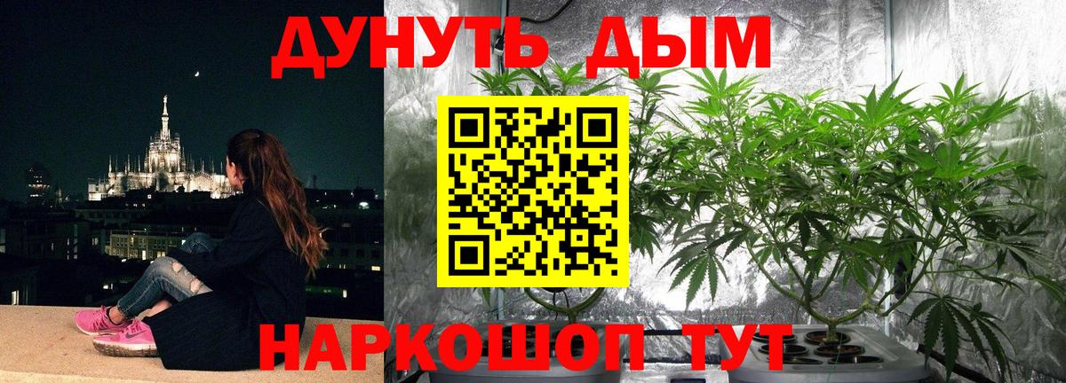 Марихуана Amnesia  Марихуана индика  Красноперекопск  Вход с VPN  МАРИХУАНА THC 21%  МАРИХУАНА Amnesia 